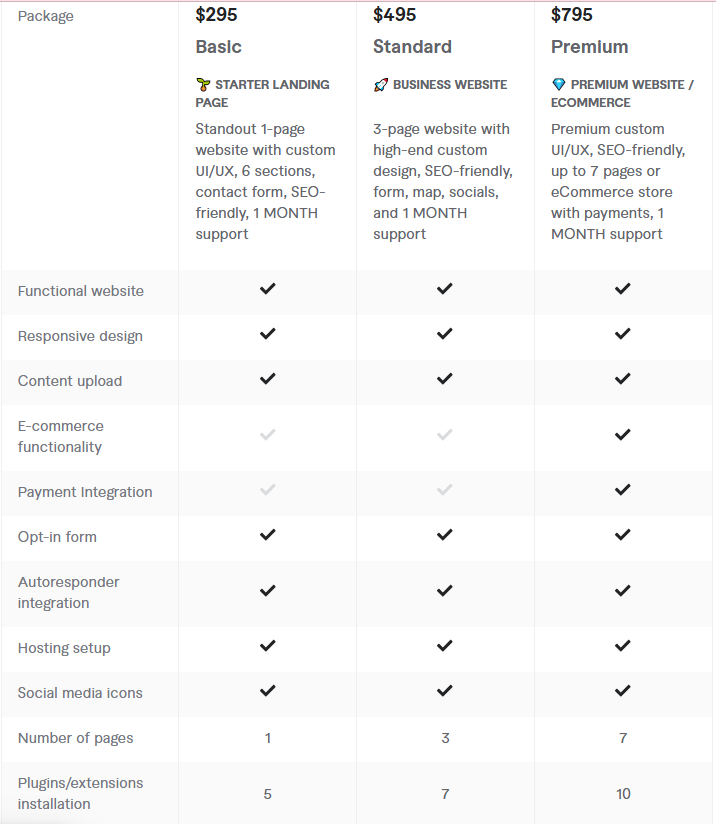 Pricing of Fiverr Website Design Services 