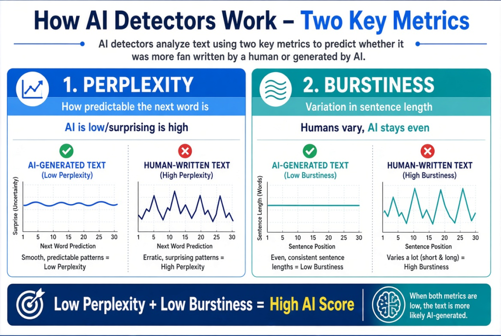 How AI Detectors Actually Work
